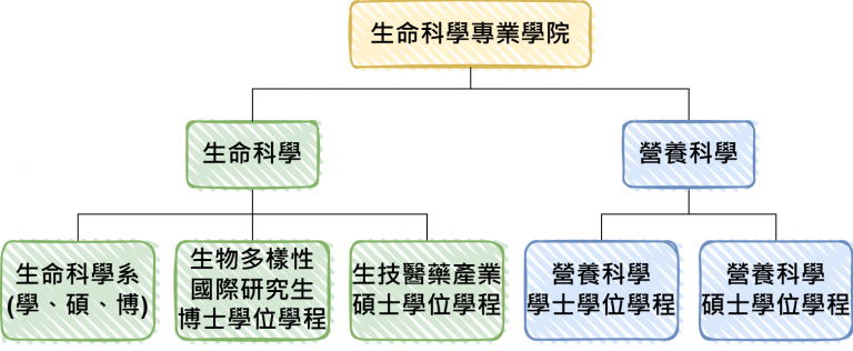 學院組織圖(中文)